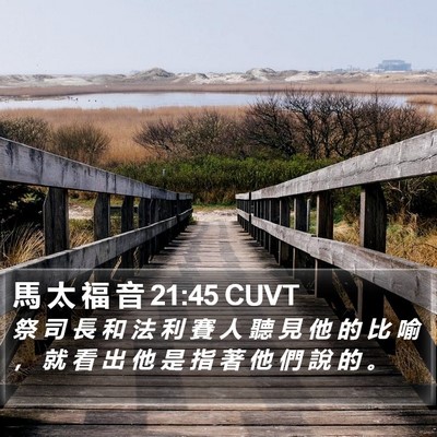 馬 太 福 音 21:45 CUVT Bible Verse Image