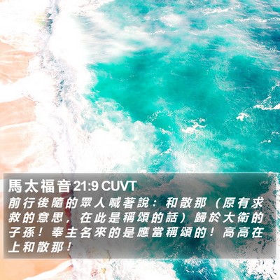 馬 太 福 音 21:9 CUVT Bible Verse Image