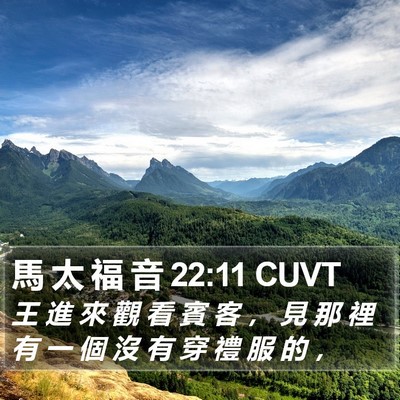 馬 太 福 音 22:11 CUVT Bible Verse Image
