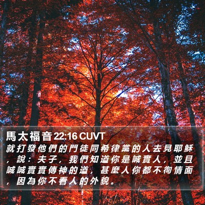 馬 太 福 音 22:16 CUVT Bible Verse Image