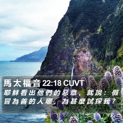 馬 太 福 音 22:18 CUVT Bible Verse Image