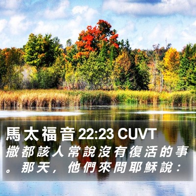 馬 太 福 音 22:23 CUVT Bible Verse Image