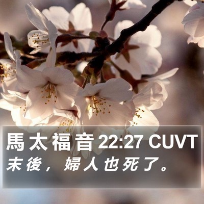 馬 太 福 音 22:27 CUVT Bible Verse Image
