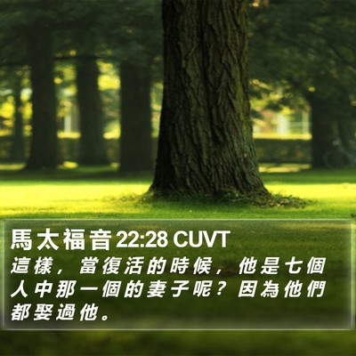 馬 太 福 音 22:28 CUVT Bible Verse Image