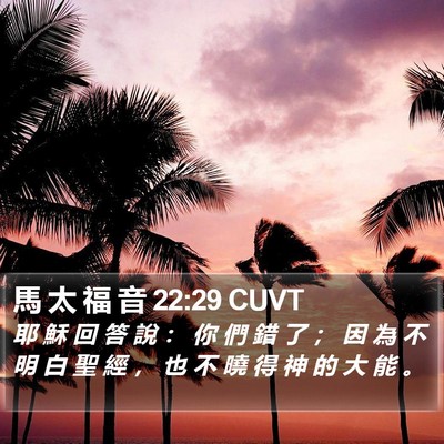 馬 太 福 音 22:29 CUVT Bible Verse Image