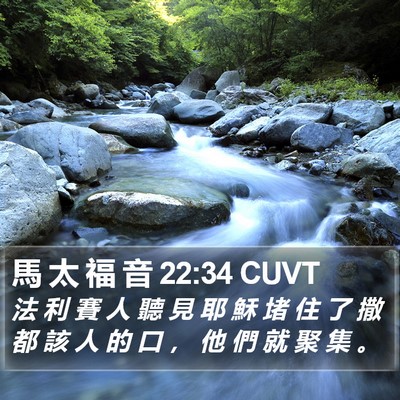 馬 太 福 音 22:34 CUVT Bible Verse Image
