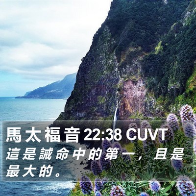 馬 太 福 音 22:38 CUVT Bible Verse Image
