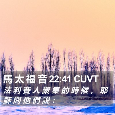 馬 太 福 音 22:41 CUVT Bible Verse Image
