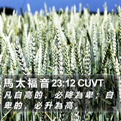 馬 太 福 音 23:12 CUVT Bible Verse Image
