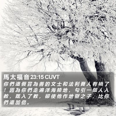 馬 太 福 音 23:15 CUVT Bible Verse Image