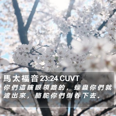 馬 太 福 音 23:24 CUVT Bible Verse Image