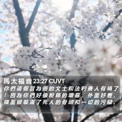 馬 太 福 音 23:27 CUVT Bible Verse Image
