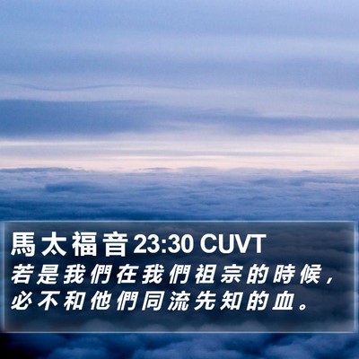 馬 太 福 音 23:30 CUVT Bible Verse Image
