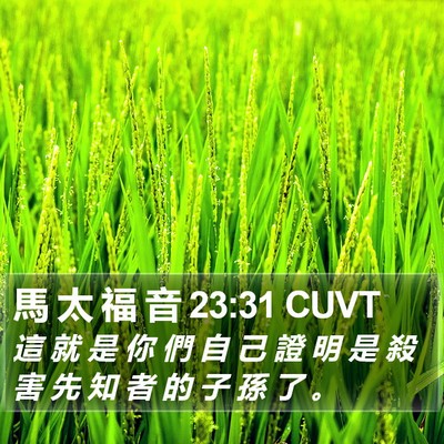 馬 太 福 音 23:31 CUVT Bible Verse Image