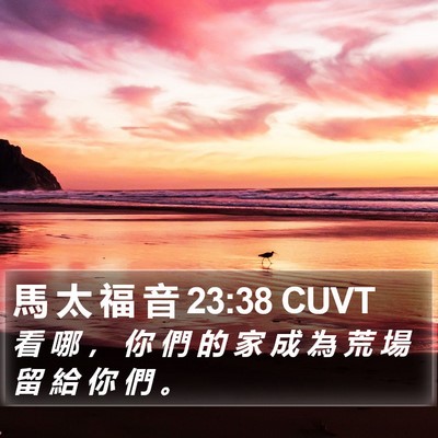 馬 太 福 音 23:38 CUVT Bible Verse Image