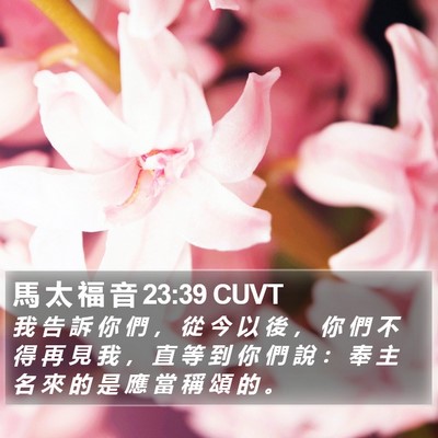 馬 太 福 音 23:39 CUVT Bible Verse Image