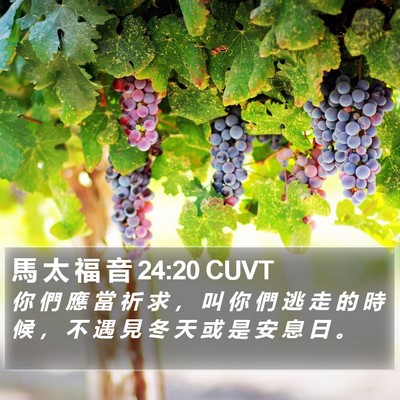 馬 太 福 音 24:20 CUVT Bible Verse Image