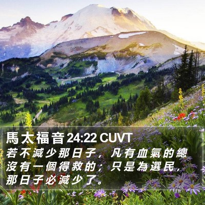 馬 太 福 音 24:22 CUVT Bible Verse Image