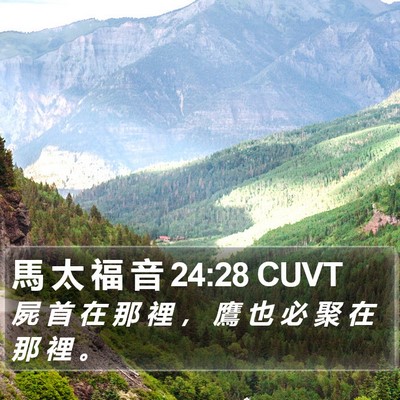 馬 太 福 音 24:28 CUVT Bible Verse Image