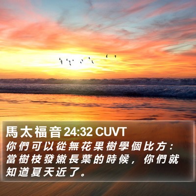 馬 太 福 音 24:32 CUVT Bible Verse Image