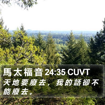 馬 太 福 音 24:35 CUVT Bible Verse Image
