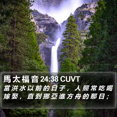 馬 太 福 音 24:38 CUVT Bible Verse Image