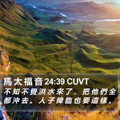 馬 太 福 音 24:39 CUVT Bible Verse Image