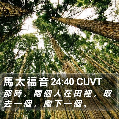 馬 太 福 音 24:40 CUVT Bible Verse Image