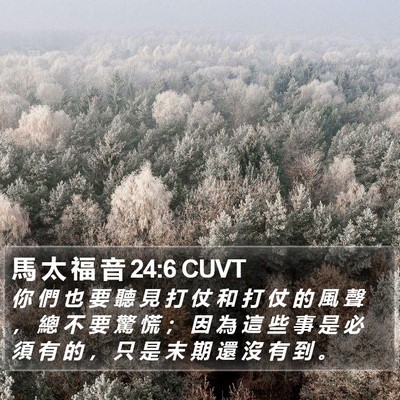 馬 太 福 音 24:6 CUVT Bible Verse Image