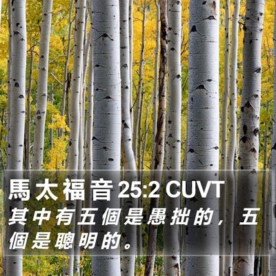馬 太 福 音 25:2 CUVT Bible Verse Image