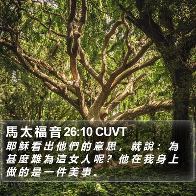 馬 太 福 音 26:10 CUVT Bible Verse Image