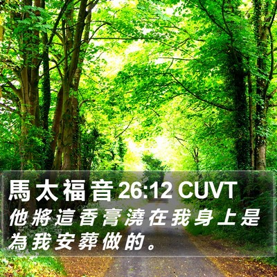 馬 太 福 音 26:12 CUVT Bible Verse Image