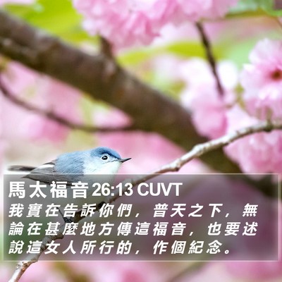馬 太 福 音 26:13 CUVT Bible Verse Image