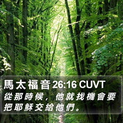馬 太 福 音 26:16 CUVT Bible Verse Image