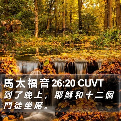 馬 太 福 音 26:20 CUVT Bible Verse Image