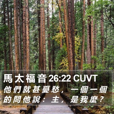 馬 太 福 音 26:22 CUVT Bible Verse Image