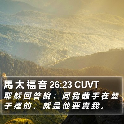 馬 太 福 音 26:23 CUVT Bible Verse Image