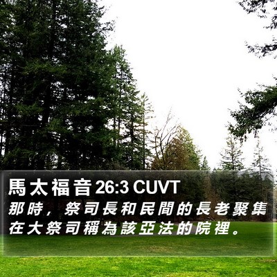 馬 太 福 音 26:3 CUVT Bible Verse Image