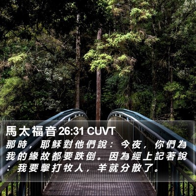 馬 太 福 音 26:31 CUVT Bible Verse Image