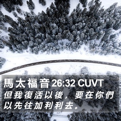 馬 太 福 音 26:32 CUVT Bible Verse Image