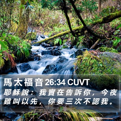 馬 太 福 音 26:34 CUVT Bible Verse Image