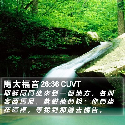 馬 太 福 音 26:36 CUVT Bible Verse Image