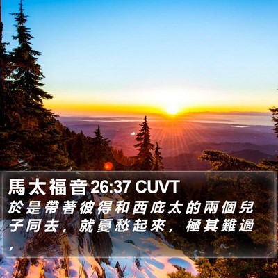 馬 太 福 音 26:37 CUVT Bible Verse Image