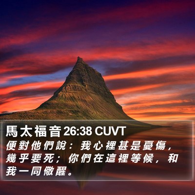 馬 太 福 音 26:38 CUVT Bible Verse Image
