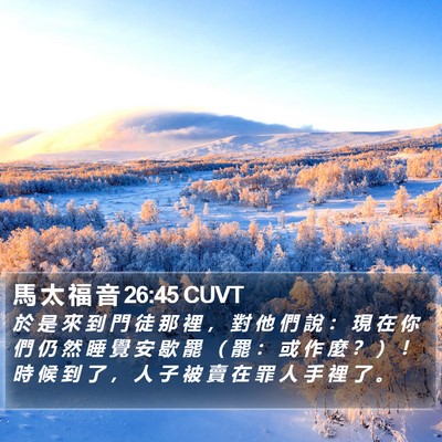 馬 太 福 音 26:45 CUVT Bible Verse Image
