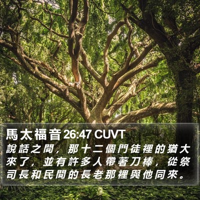 馬 太 福 音 26:47 CUVT Bible Verse Image