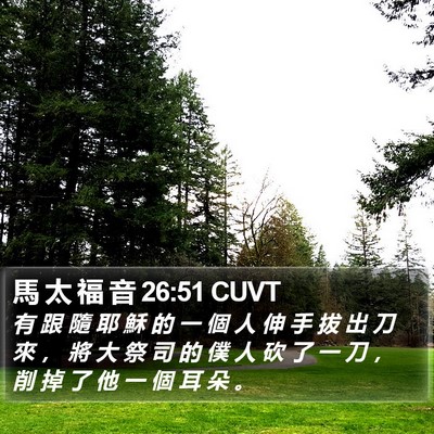 馬 太 福 音 26:51 CUVT Bible Verse Image