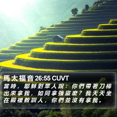 馬 太 福 音 26:55 CUVT Bible Verse Image