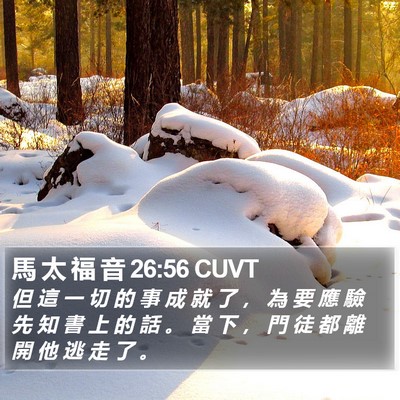 馬 太 福 音 26:56 CUVT Bible Verse Image