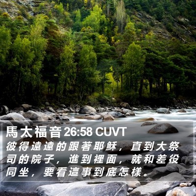 馬 太 福 音 26:58 CUVT Bible Verse Image